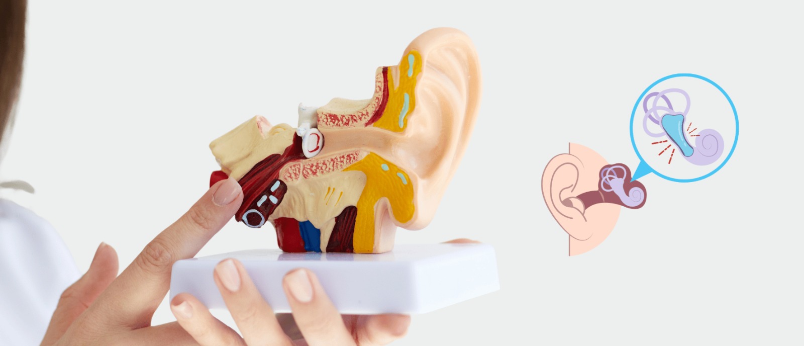 Who Can Benefit from In-the-Canal (ITC) Hearing Aids? | Aanvii Hearing